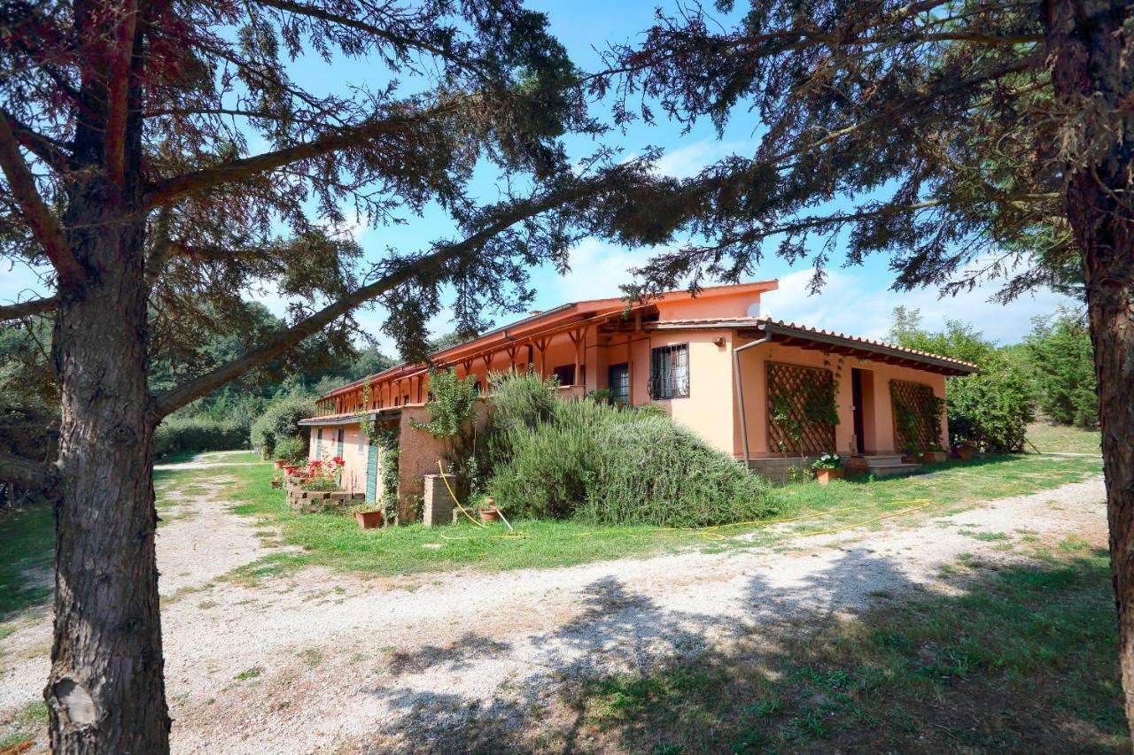 Hostel La Dimora Degli Etruschi *